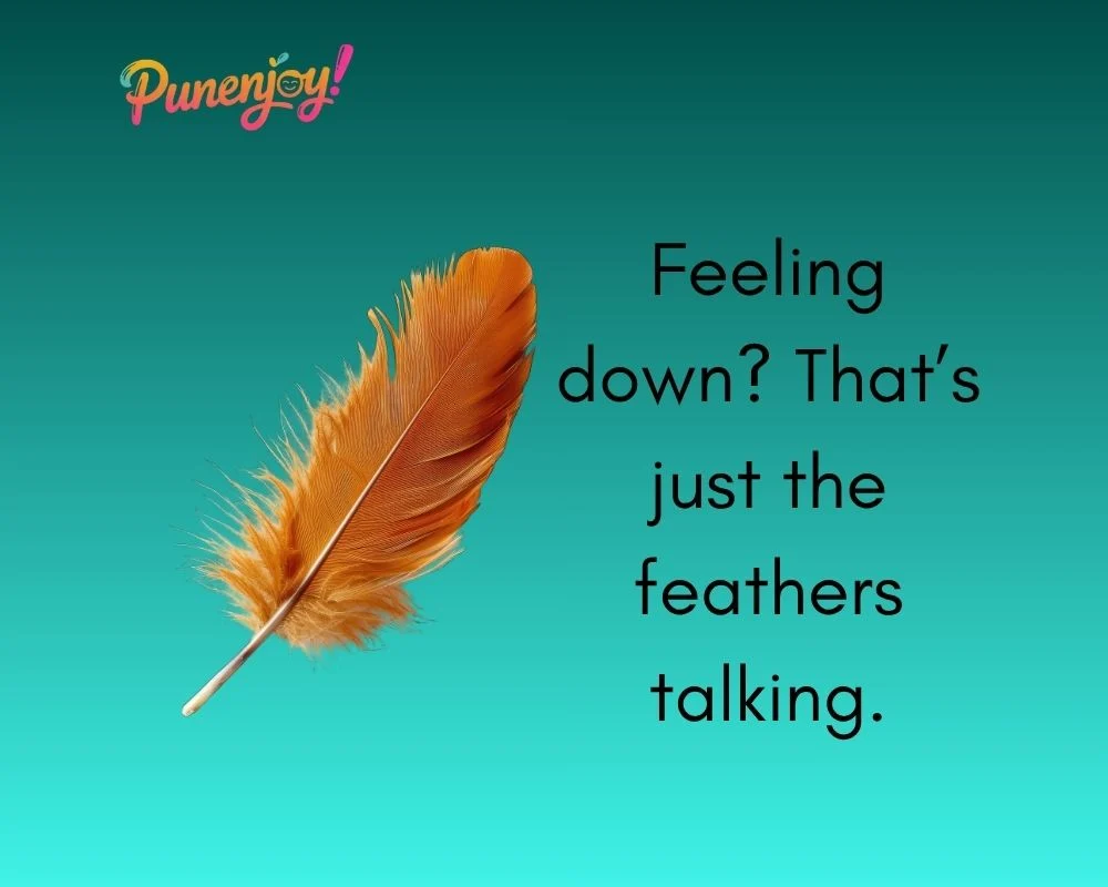 Feather Puns