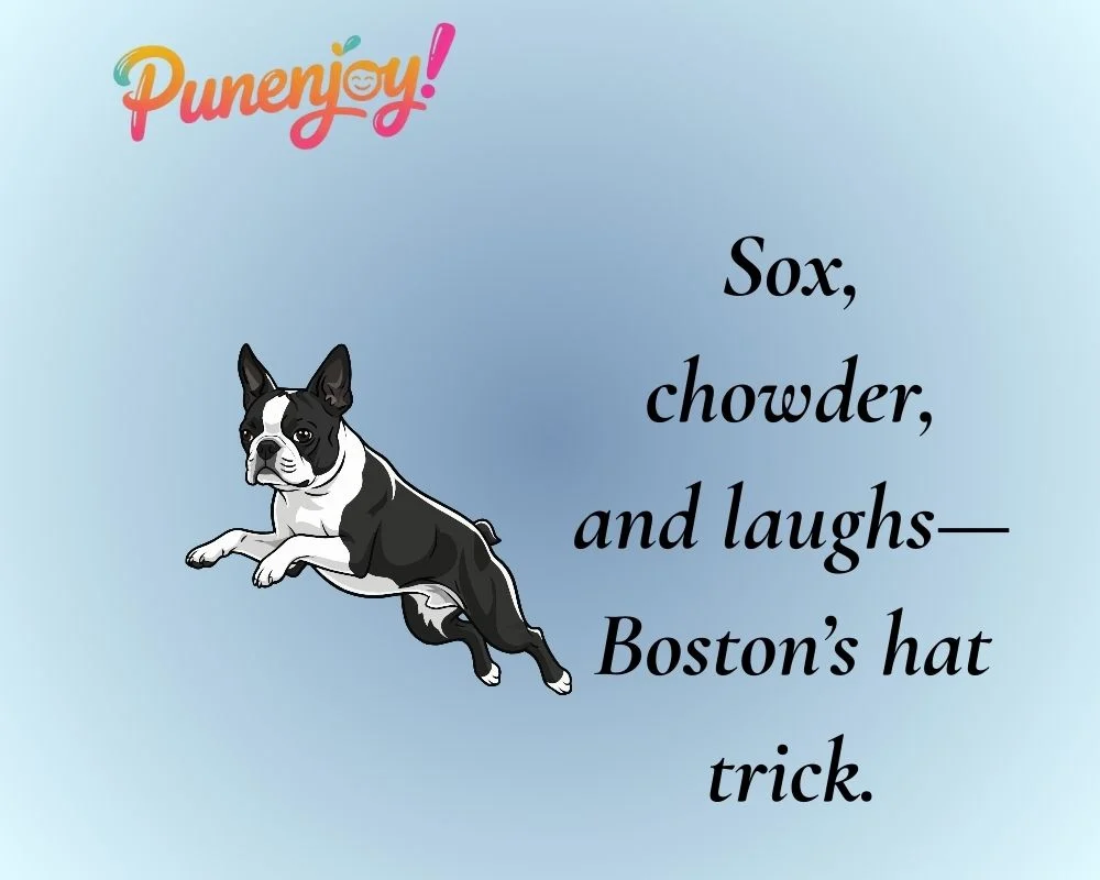 Boston Puns