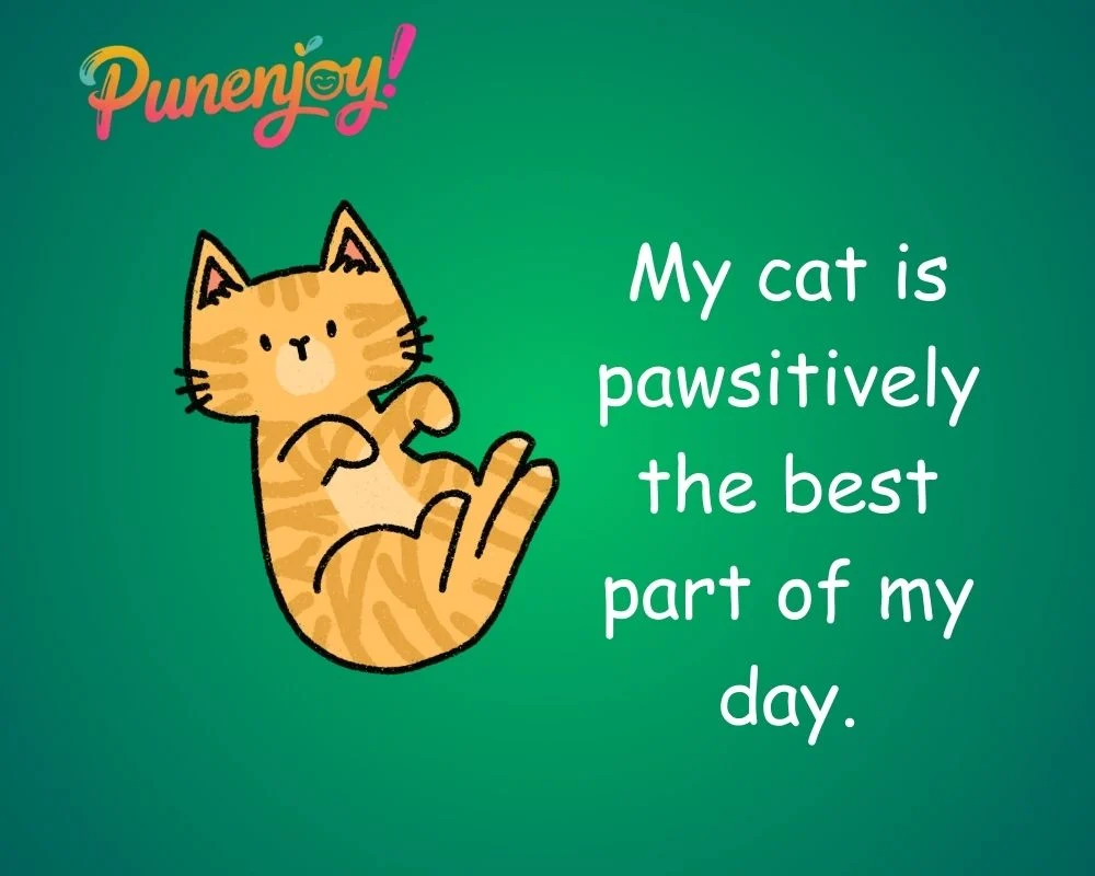 cat puns