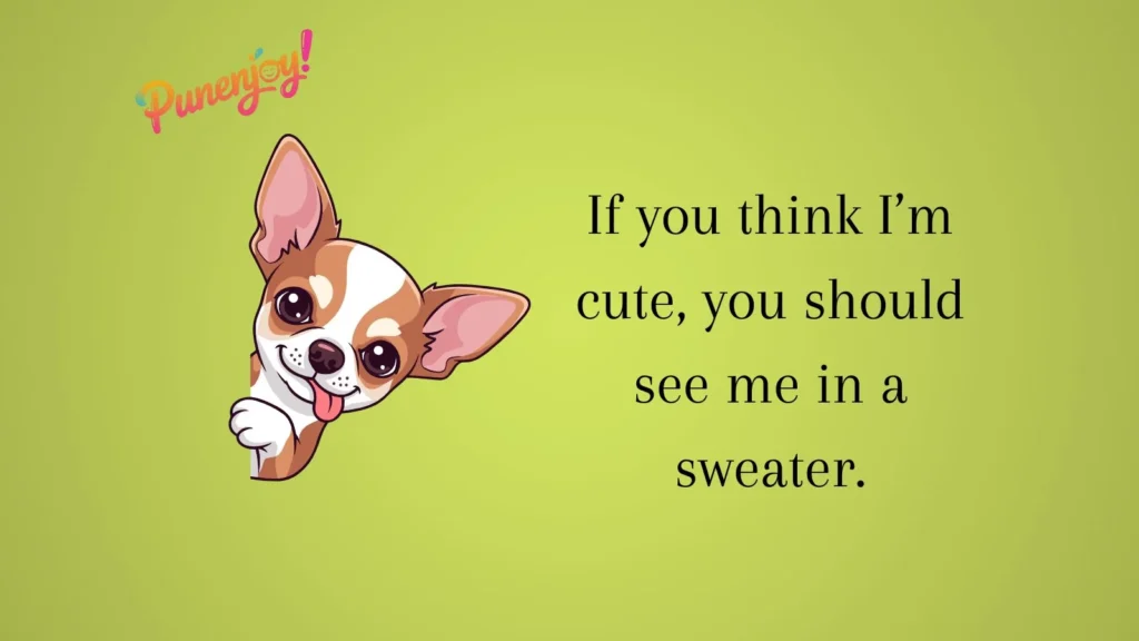 Chihuahua Puns