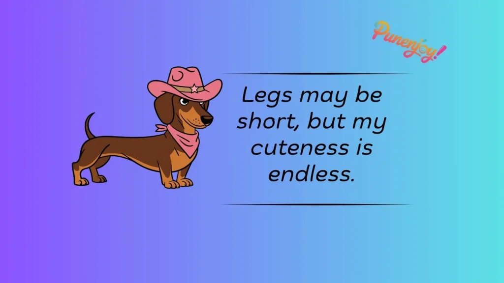 Dachshund Puns