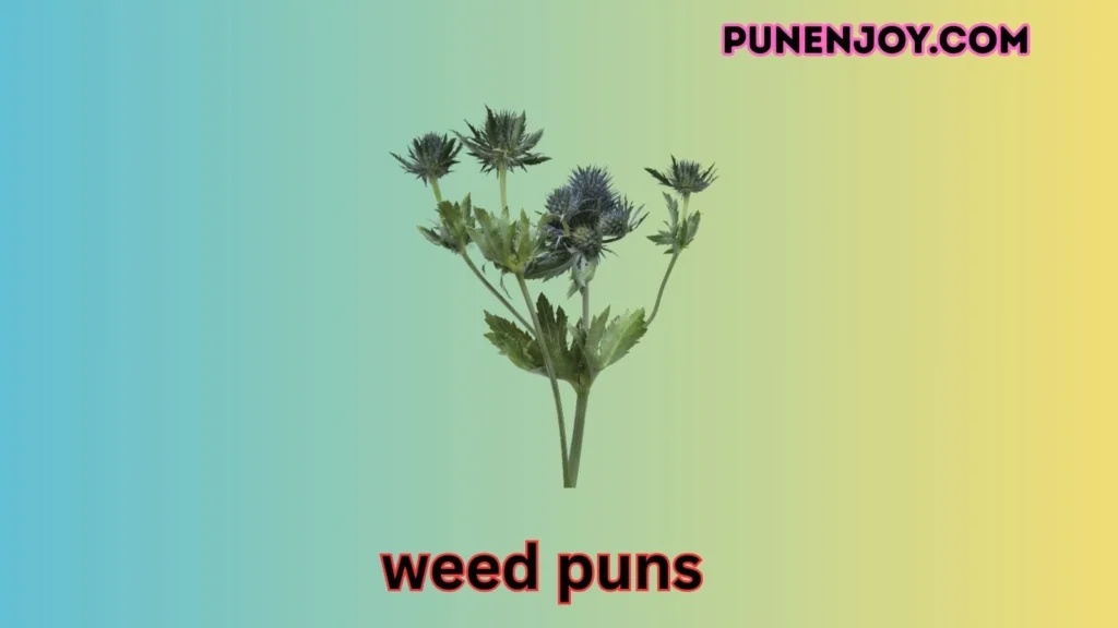 weed puns