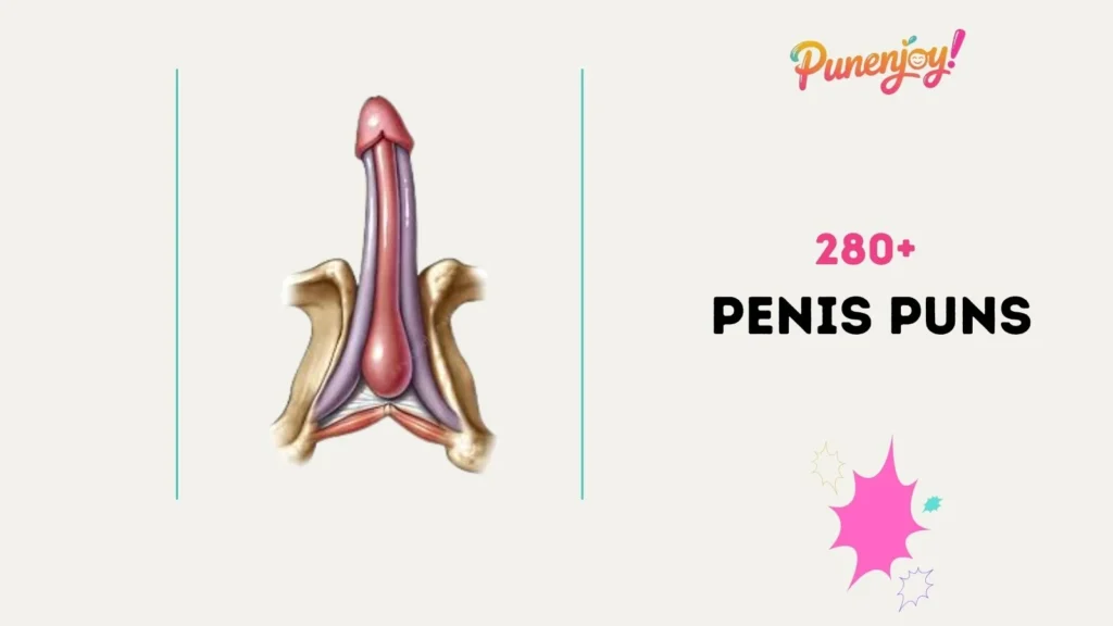 penis puns