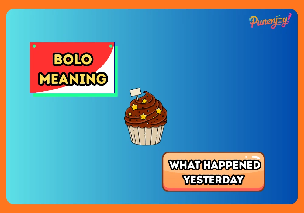 bolo meaning