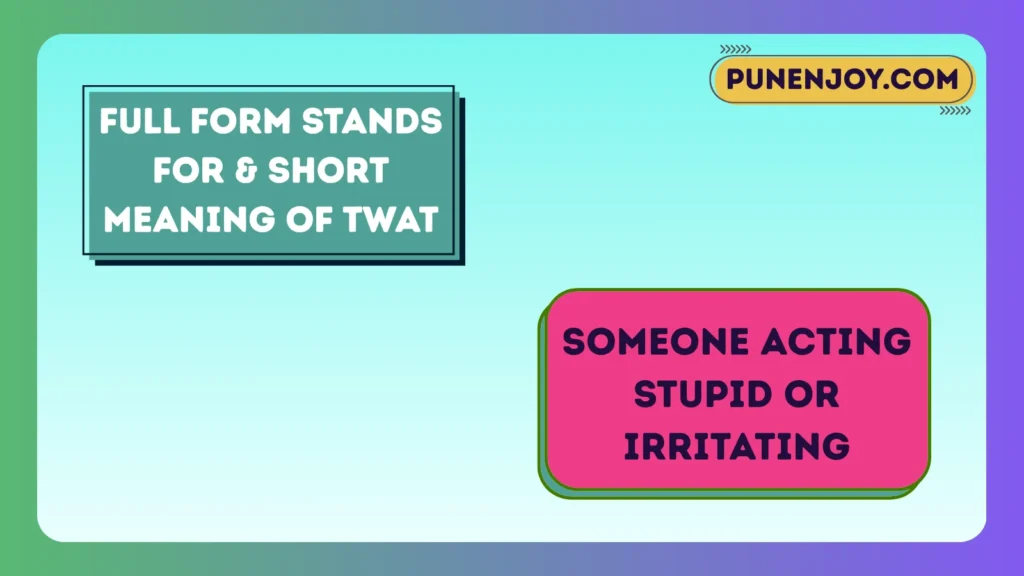 Full Form Stands For & Short Meaning of twat
