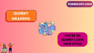 quirky meaning