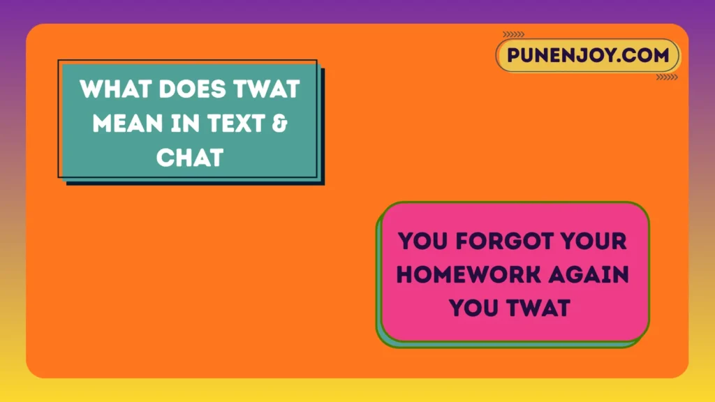 What Does Twat Mean in Text & Chat