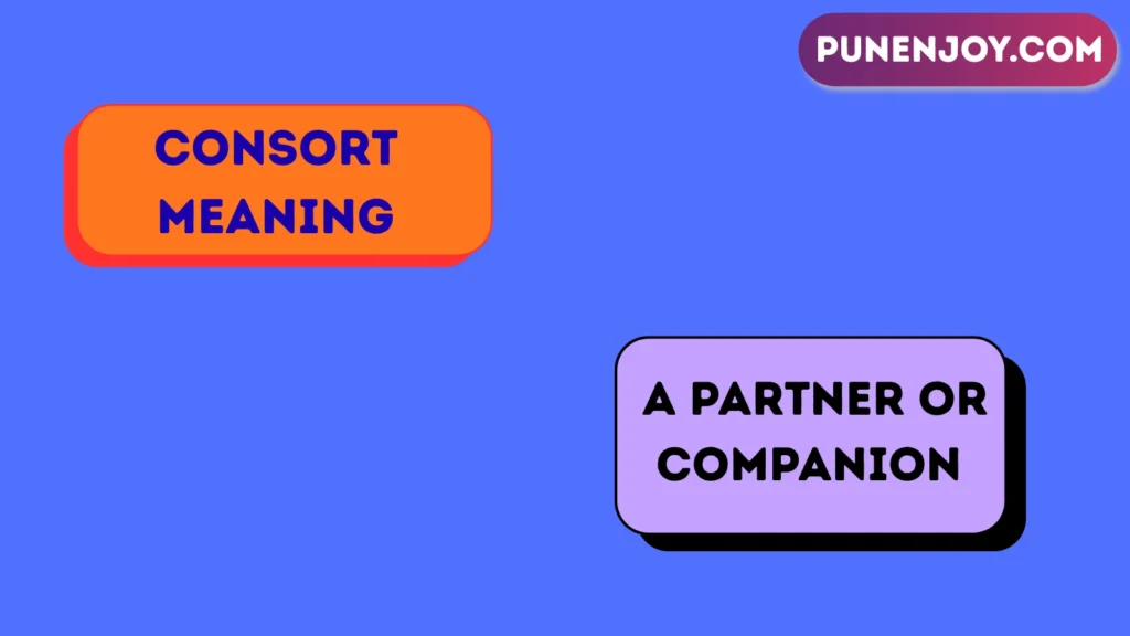 consort meaning