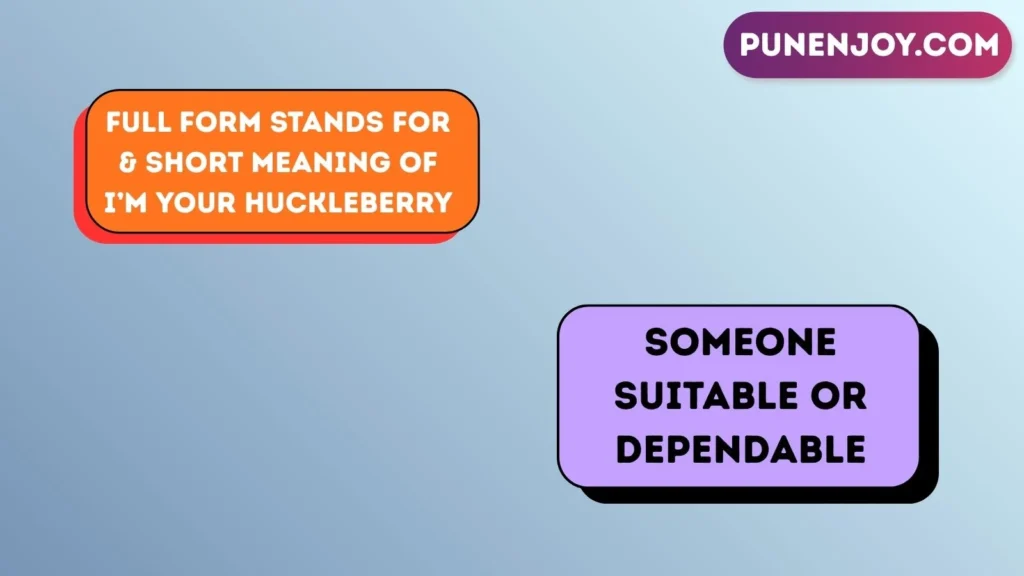 Full Form Stands For & Short Meaning of I’m Your Huckleberry