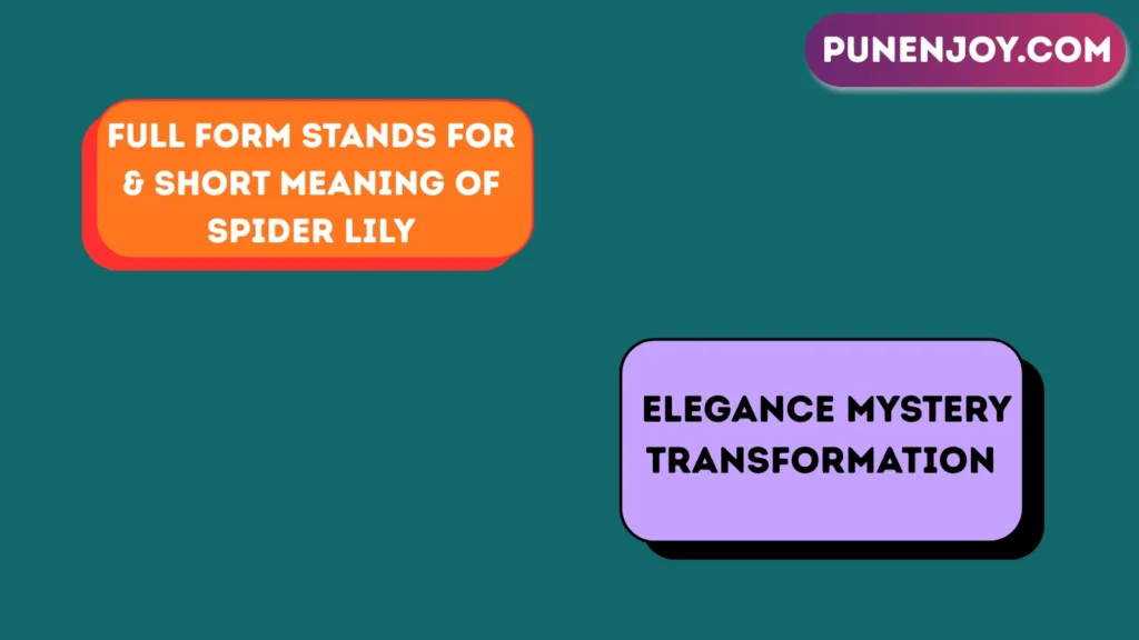 Full Form Stands For & Short Meaning of Spider Lily