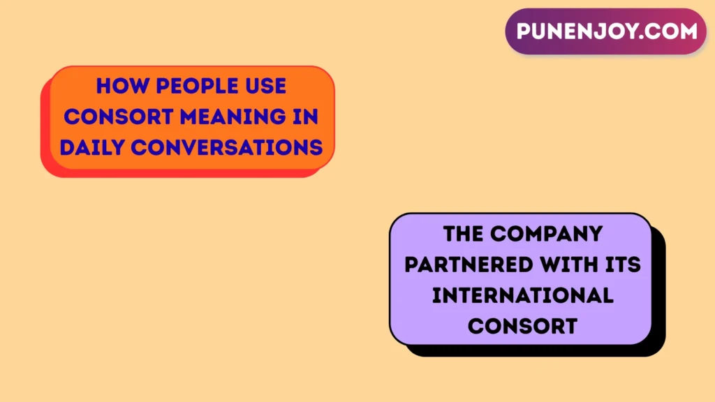 How People Use Consort Meaning in Daily Conversations