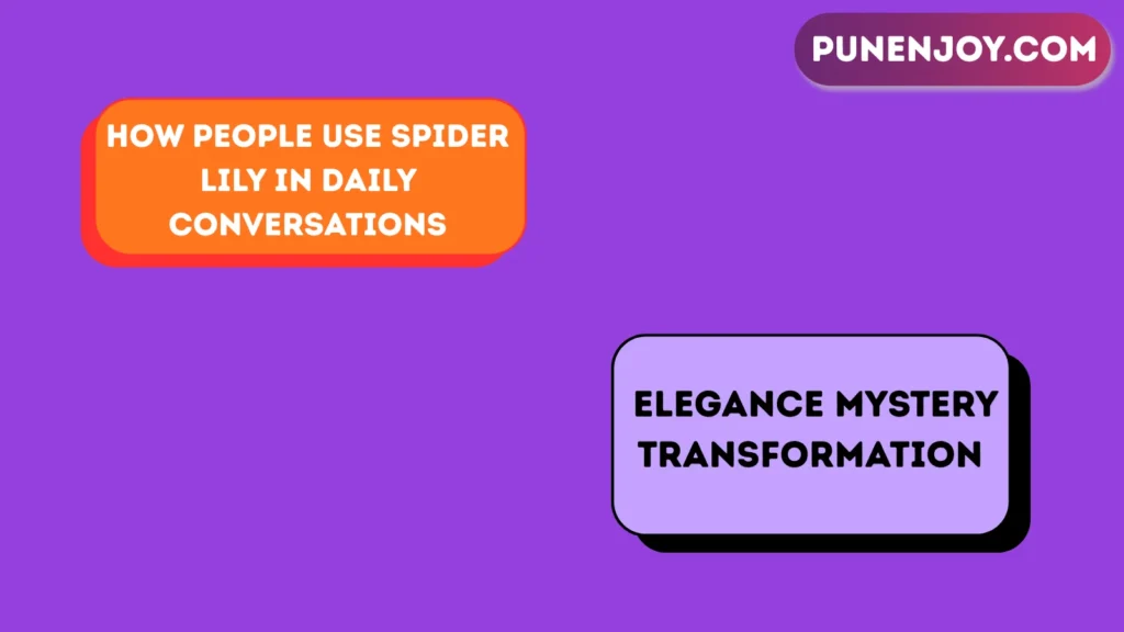 How People Use Spider Lily in Daily Conversations