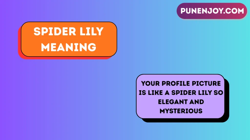 spider lily meaning