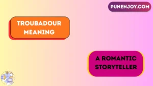 troubadour-meaning