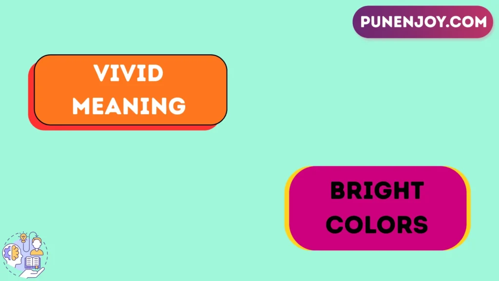 vivid meaning