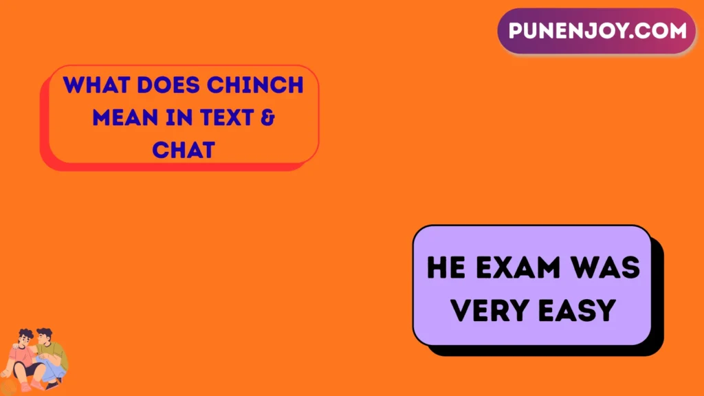What Does Chinch Mean in Text & Chat