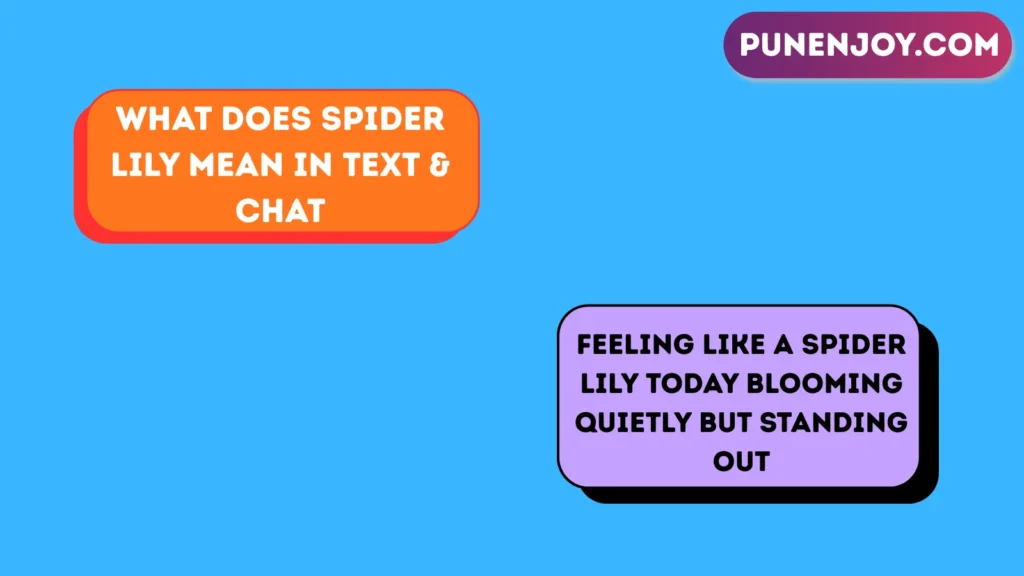 What Does Spider Lily Mean in Text & Chat
