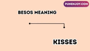 besos meaning