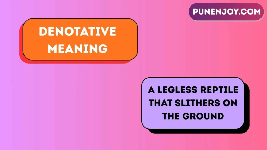 Denotative meaning