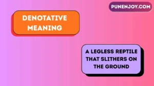 Denotative meaning
