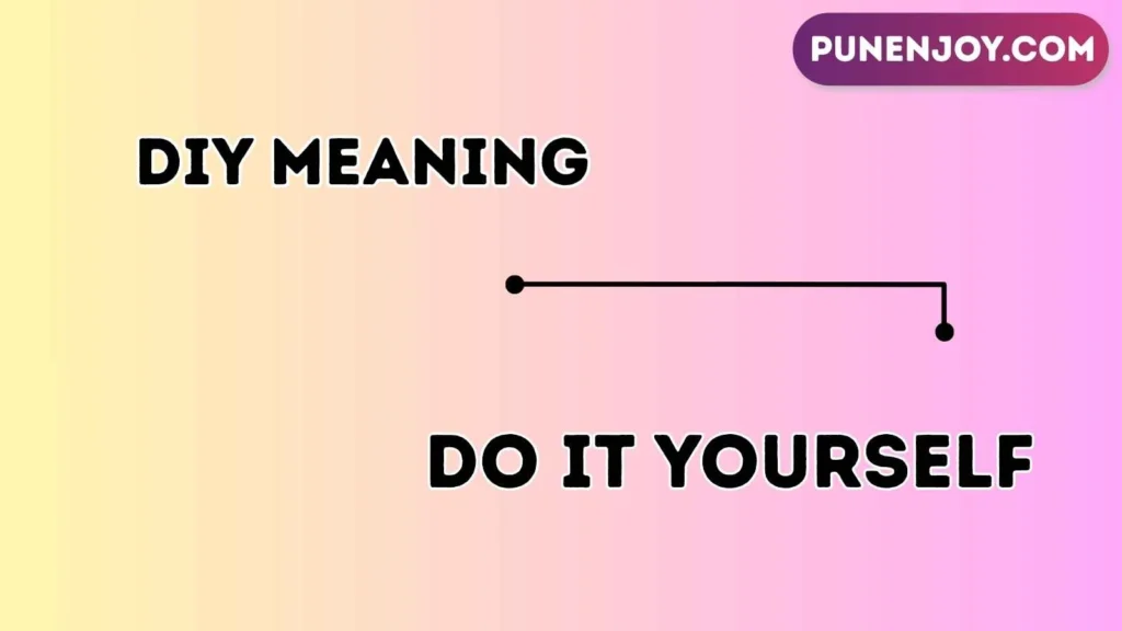 DIY meaning