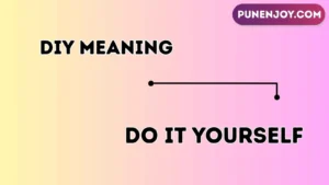 DIY meaning