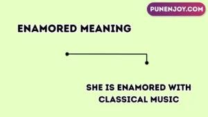 enamored meaning