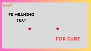 FS meaning in text