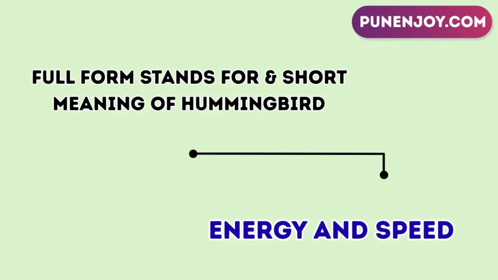 Full Form Stands For & Short Meaning of Hummingbird