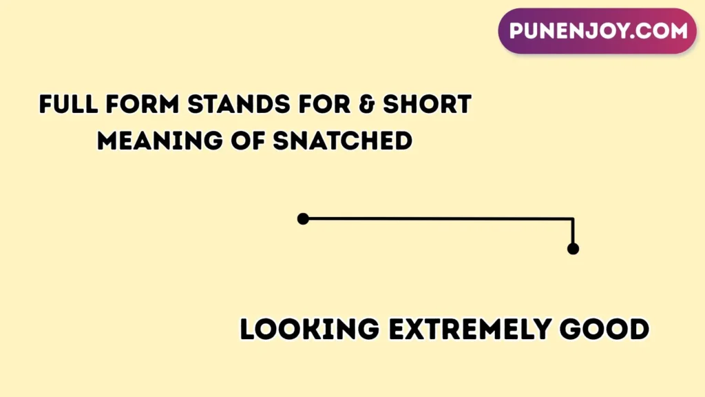 Full Form Stands For & Short Meaning of Snatched