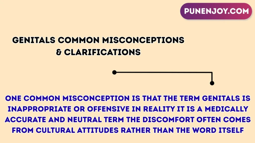 genitals Common Misconceptions & Clarifications