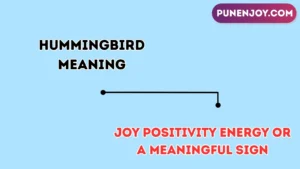 hummingbird meaning