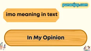 imo meaning in text