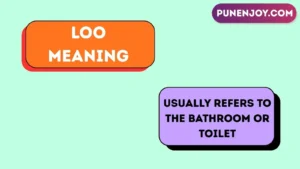 loo meaning