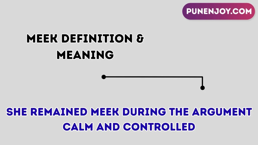 meek Definition & Meaning