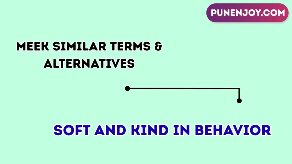 meek Similar Terms & Alternatives