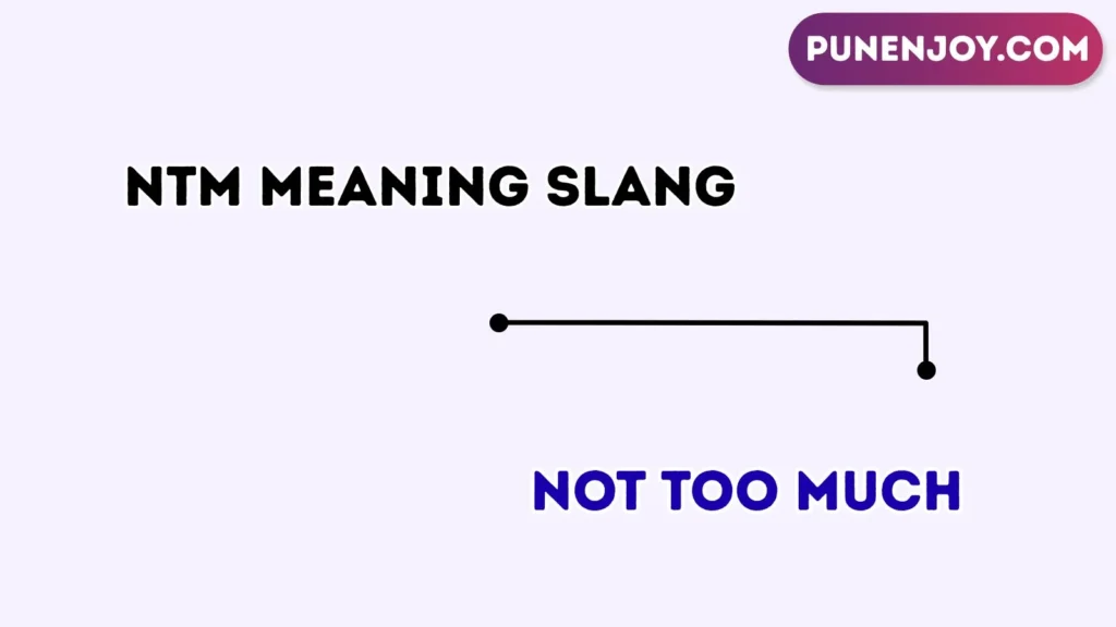 ntm meaning slang