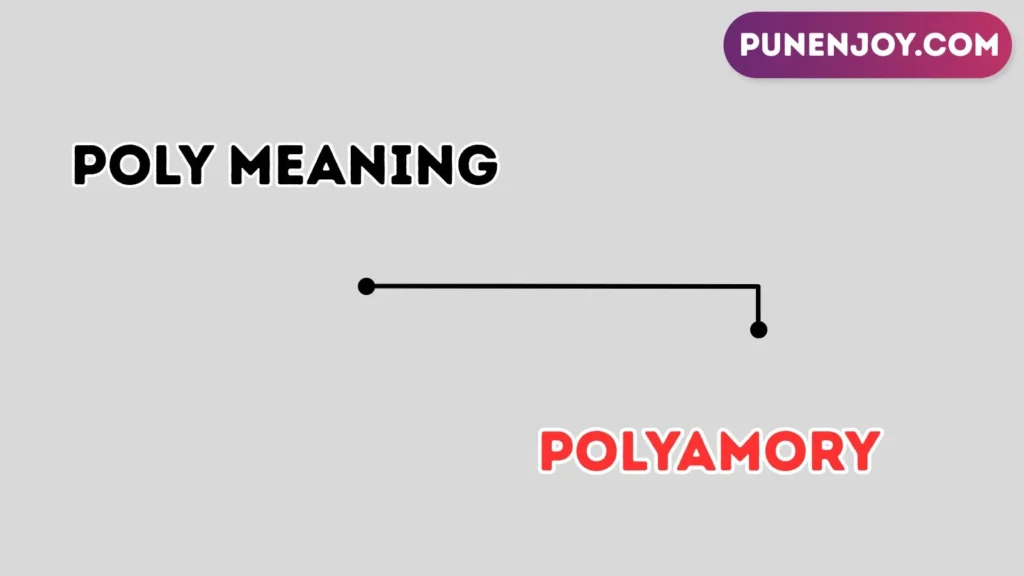 poly meaning