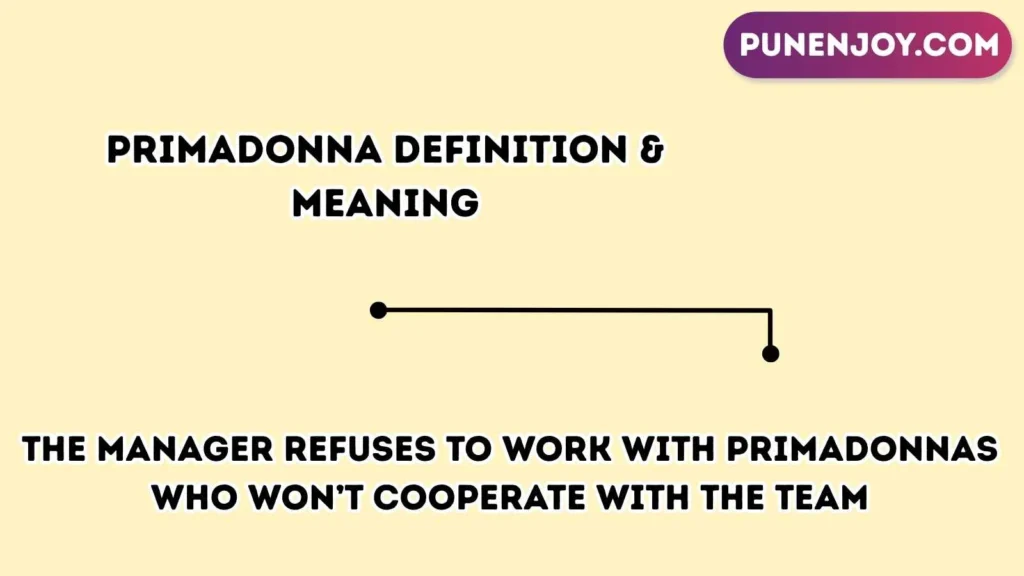 primadonna Definition & Meaning