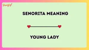 señorita meaning
