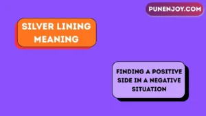 silver lining meaning
