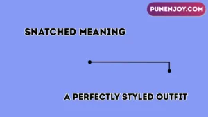 snatched meaning