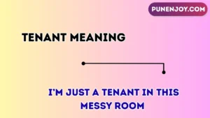 tenant meaning