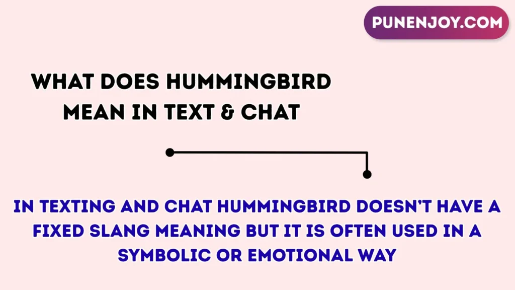What Does “Hummingbird” Mean in Text & Chat