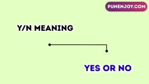 y/n meaning