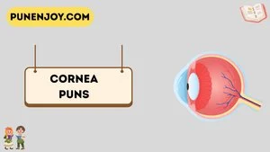 Cornea puns