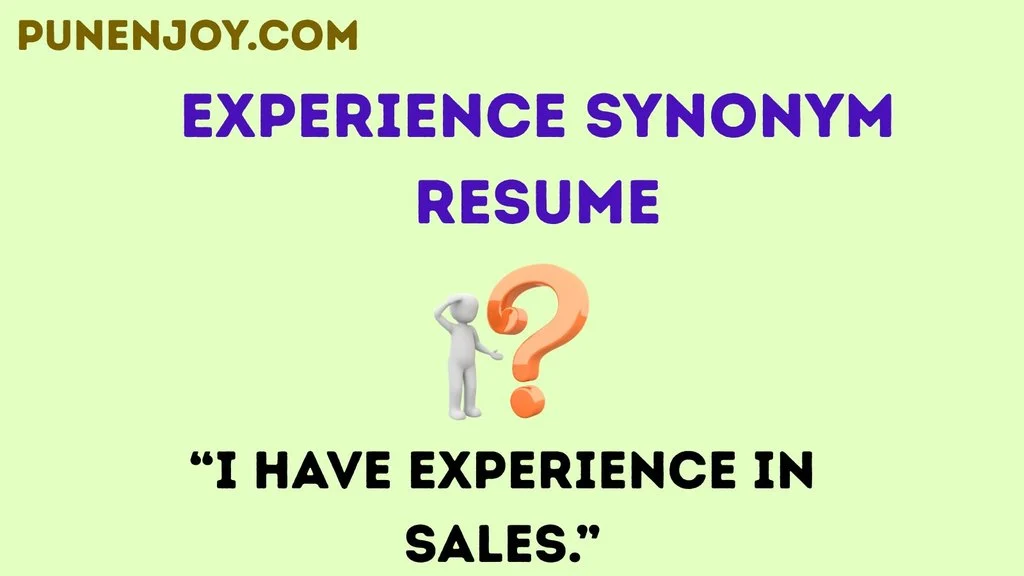 Experience synonym resume