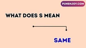 what does s mean