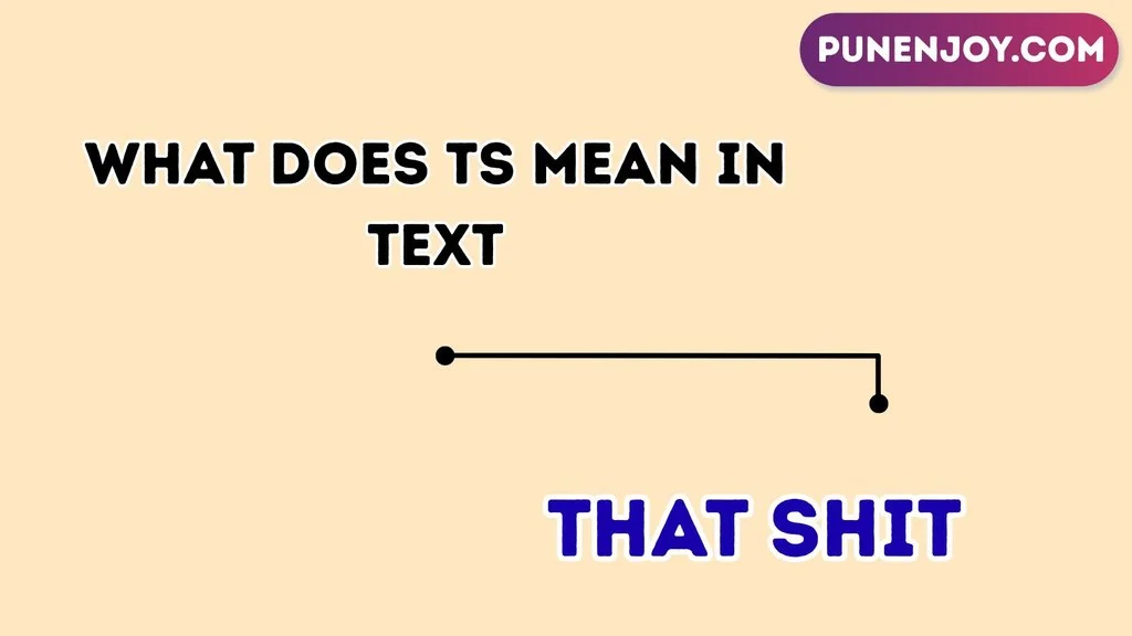 what does TS mean in text