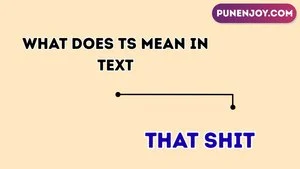 what does TS mean in text